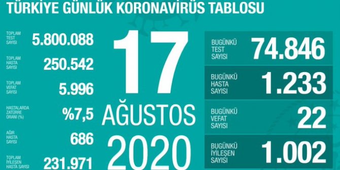 Türkiye'de Kovid-19'u yenenlerin sayısı 231 bin 971'e çıktı