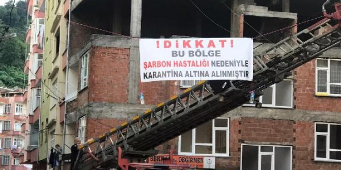 Kesilen büyükbaş şarbonlu çıktı, mahalle karantinaya alındı