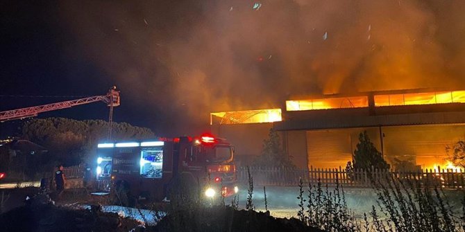 Manisa'da ahşap fabrikasında yangın