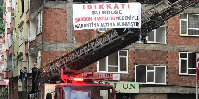 Trabzon'da şarbon karantinası