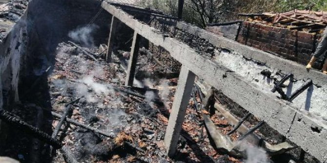 Kırıkkale'de ahır yandı; 7 büyükbaş telef oldu