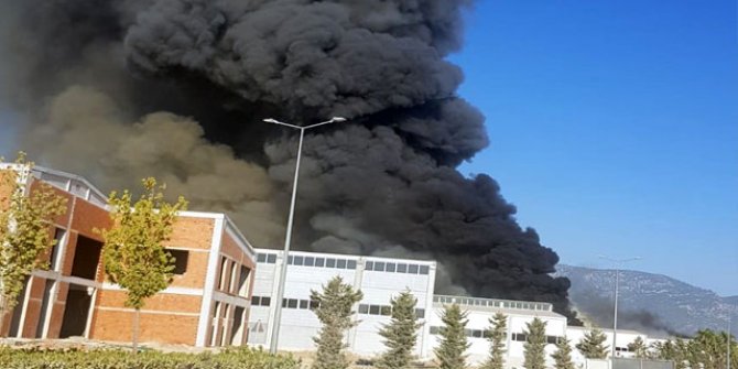 Antalya korkutan yangın