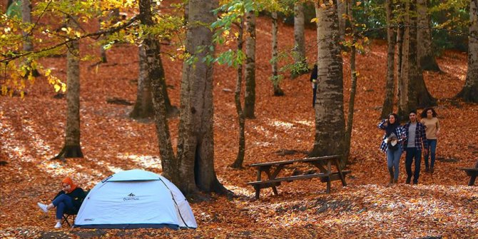 Ilgaz Dağı Milli Parkı'nda kamp alanları belirlenecek
