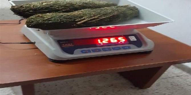Hudut hatlarında kaçakçılığa geçit yok