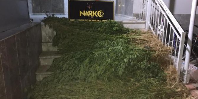 İzmir'de uyuşturucu operasyonu: 2 tutuklama