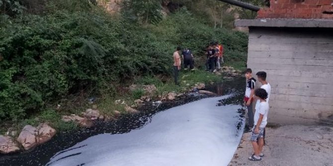Renk değiştirip, köpüren dereden su içen köpek zehirlendi