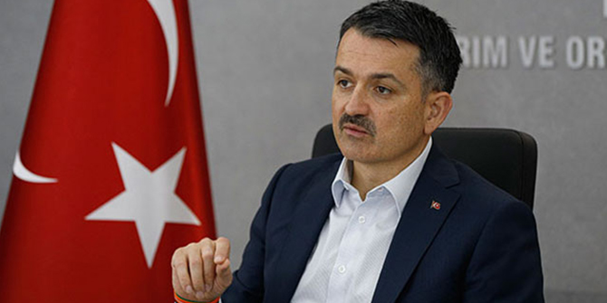 Bakan Pakdemirli: Yağışların Trabzon, Rize ve Artvin'de akşama kadar sürmesini bekliyoruz