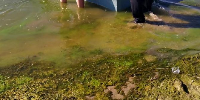 Balık tutmaya gittiği barajda boğuldu