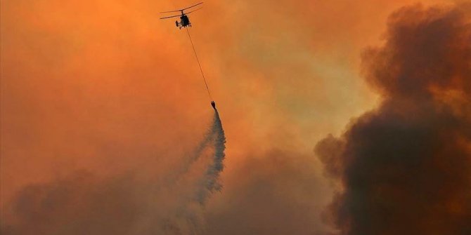 Adana'daki orman yangınına havadan müdahale tekrar başladı