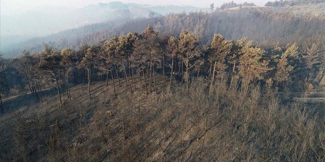 Adana'daki orman yangınına havadan müdahale tekrar başladı