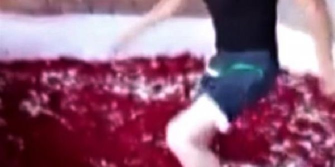 Çıplak ayakla salça havuzuna girilen işletmenin faaliyeti durduruldu, salçalar imha edildi