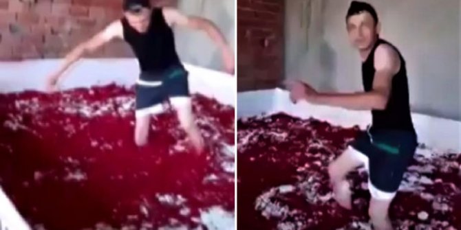 Çıplak ayakla salça havuzuna girilen işletmenin faaliyeti durduruldu, salçalar imha edildi