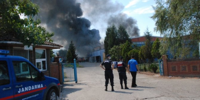 Bartın Organize Sanayi Bölgesi'nde yangın