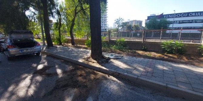 İzmir'de ağaca çarpan otomobilin sürücüsü öldü