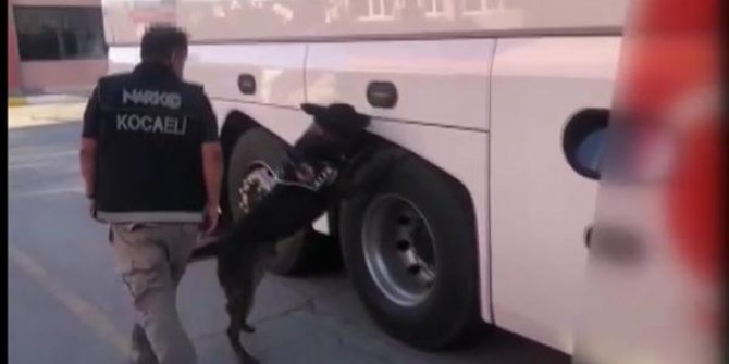 'Alfa' ile yapılan aramada otobüste 30 kilo eroin bulundu