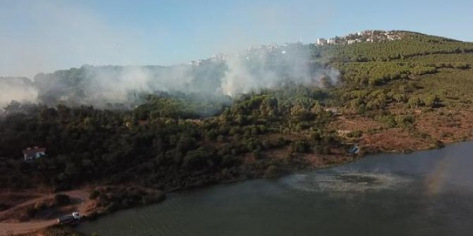 Maltepe'deki orman yangınıyla ilgili 1 kişi gözaltına alındı