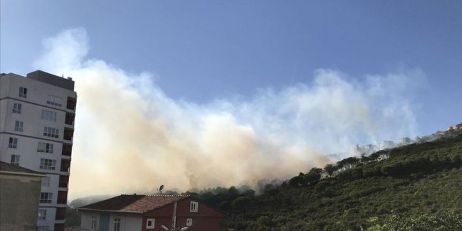 Maltepe'de ormanlık alanda yangınMaltepe'de ormanlık alanda yangın