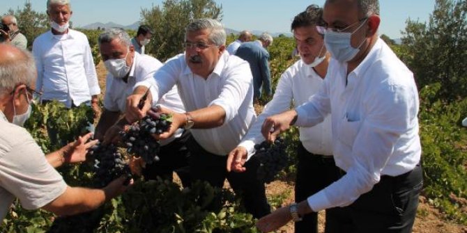 AK Parti Hatay Milletvekili Yayman: Hassa üzümünü marka haline getireceğiz