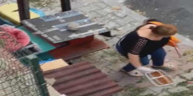 Şişli'de 2 kadın kedi maması yüzünden yine kavga etti