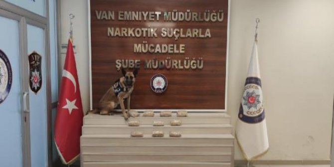 Otomobilin bagajındaki 4 kilo uyuşturucuyu 'Şila' buldu