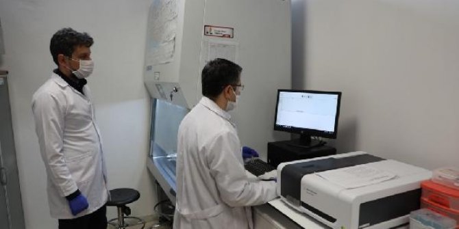 Bartın Üniversitesinde “3CLpro” enzimi üretildi