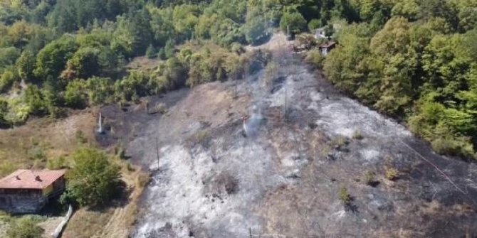 Safranbolu'da, 5 dönüm ormanlık alan yandı