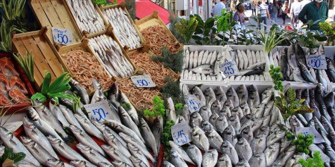 Edirne'de av sezonunun ilk gününde tezgahlar istavrit ve sardalyayla şenlendi
