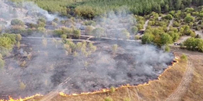 Otlar tutuştu, alevler ormana sıçradı