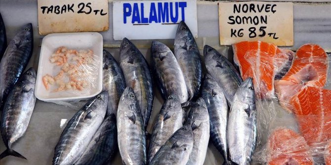 Palamut tezgahları süslemeye başladı