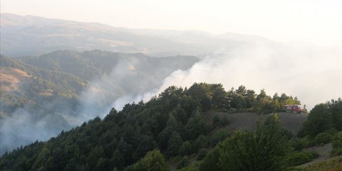 Tokat'taki orman yangını kontrol altına alındı