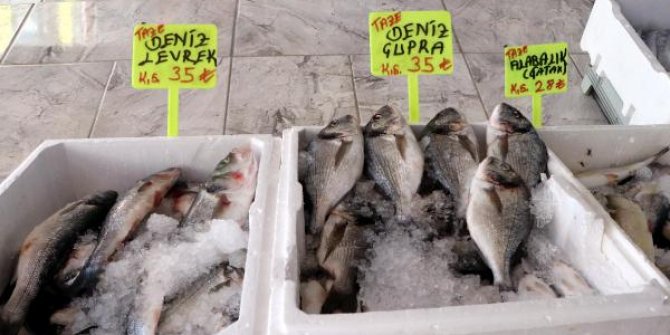 Av sezonu açıldı Van'daki balık tezgahları hareketlendi