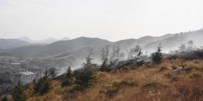 Bitlis'te otluk yangını