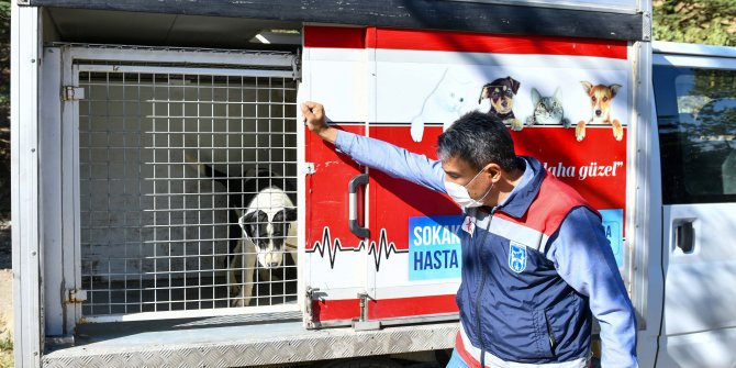 Büyükşehir'den Patipark'a lojistik destek