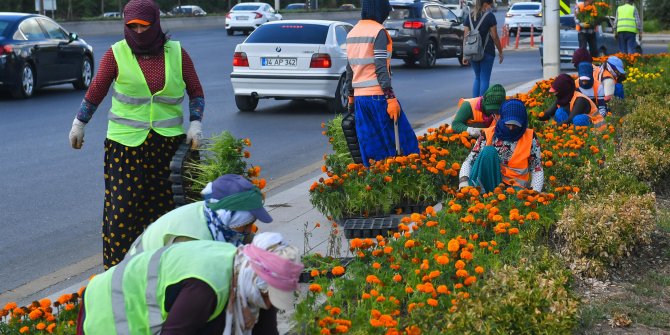 Başkent artık daha yeşil 