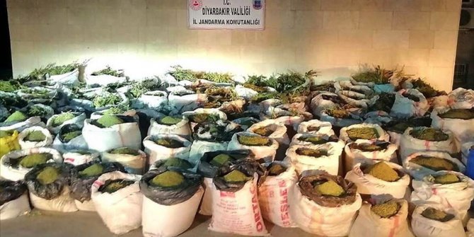 Diyarbakır'da 5 ton 81 kilogram esrar, 14 milyon 169 bin 150 kök kenevir ele geçirildi