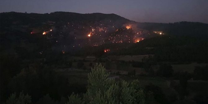 Denizli'deki orman yangını kontrol altına alındı