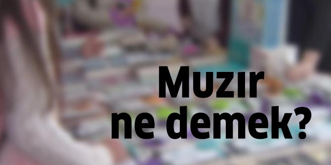 Muzır ne demek?