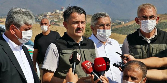 Tarım ve Orman Bakanı Pakdemirli: Hatay'daki orman yangını kontrol altına alındı