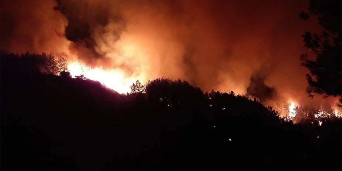 Antalya ve Adana'da çıkan orman yangınlarına müdahaleler devam ediyor