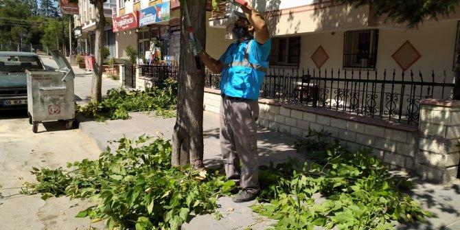 Engeller kalktı, 674 aileye odun oldu