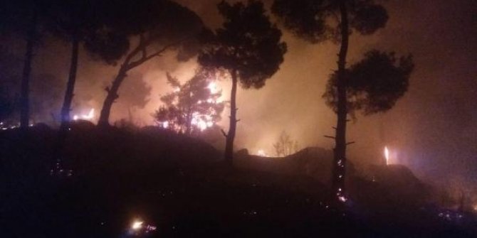 Aydın'da çıkan orman yangını kontrol altına alındı