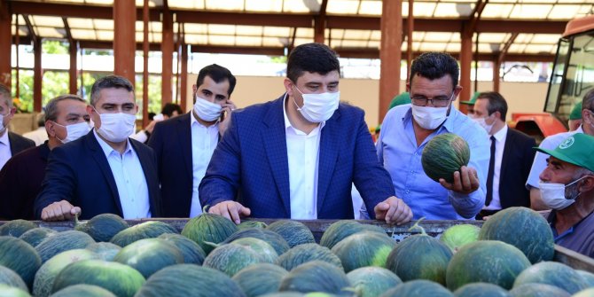 Meşhur Ova Kavunu görücüye çıktı