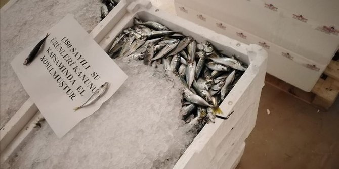 İstanbul'da 7 ton su ürününe el konuldu