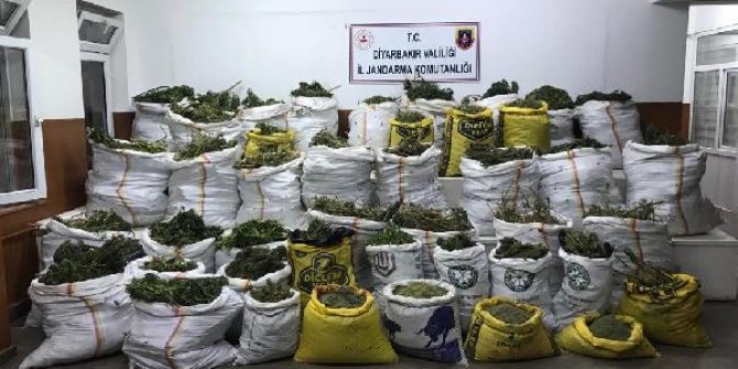 Diyarbakır'da narko- terör operasyonunda 669 kilo esrar, 510 bin kök kenevir ele geçirildi