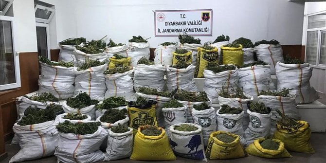 Diyarbakır'da 669 kilo 60 gram esrar, 510 bin kök Hint keneviri ele geçirildi