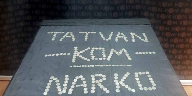 Bitlis'te 247 sikke ele geçirildi