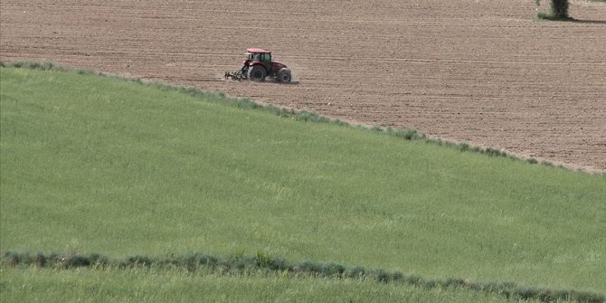 Hazineye ait tarım arazileri topraksız ve yeterli toprağı olmayan çiftçilere kiralanacak