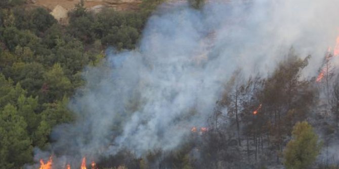 Antalya'da orman yangını