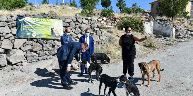 Büyükşehir ve hayvansever iş birliği