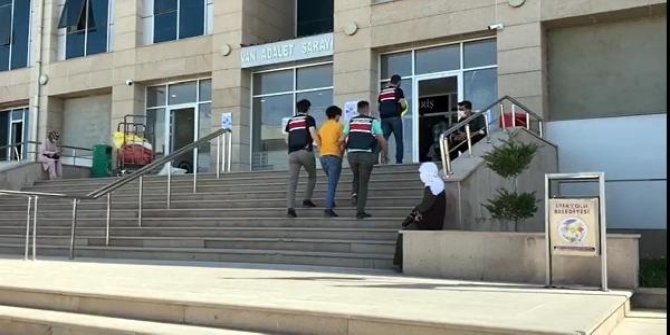 Van'da sakladığı evde yakalanan terörist, tutuklandı